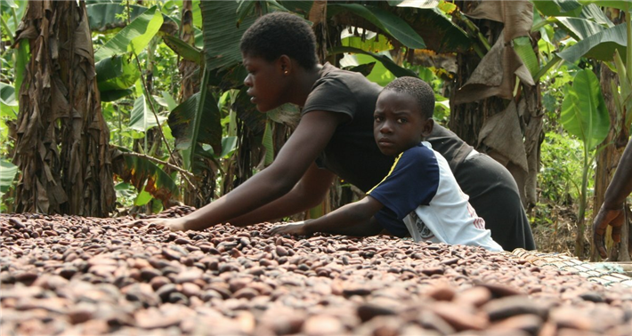 Viele Kinder in den Ländern Westafrikas arbeiten auf Kakaofeldern. © Christina Schröder, Südwind