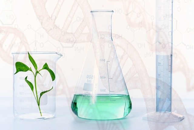 Die verschobene Chemikalienkonferenz darf keine Pause für den Umwelt- und Gesundheitsschutz bedeuten. © PhotomixCompany, pixabay.com
