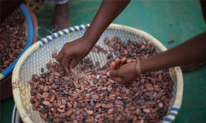Kinderarbeit hat viele Ursachen. © Fairtrade International