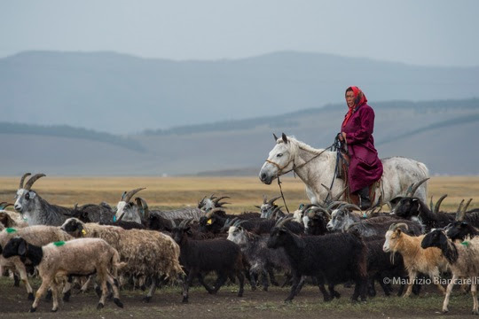 Nomaden durchstreifen mit ihren Herden den mongolischen Lake Hovsgol National Park. © Maurizio Biancarelli