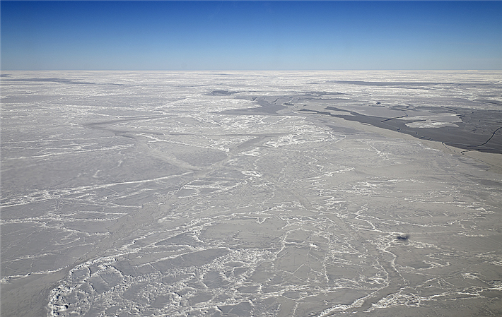 Trotz aller wissenschaftlichen Argumente und der globalen Bedeutung dieses Ökosystems wurde der Schutz des Wedellmeeres erneut von Russland und China blockiert. © Michael Studinger / NASA Goddard Space Flight Center, Flickr