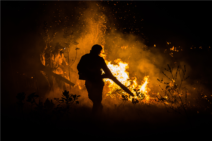 Das empfindliche Ökosystem des Cerrado ist zunehmend durch Waldbrände bedroht. © Universität Hohenheim / Fernando Tatagiba