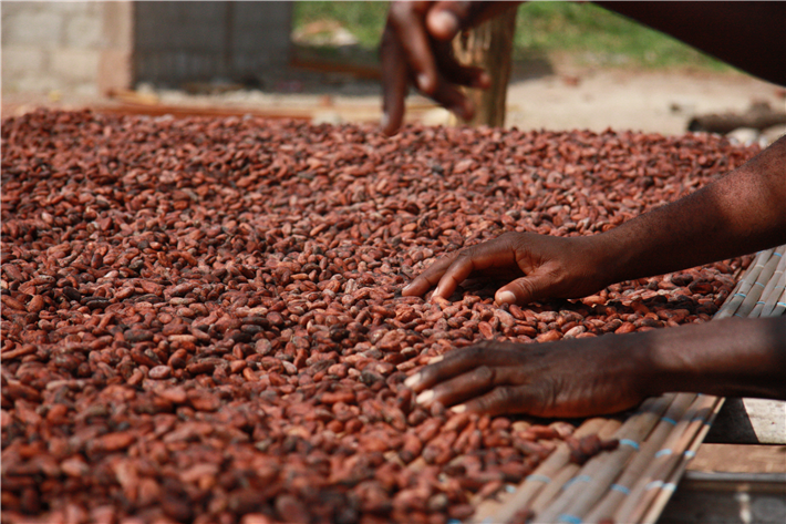 Nach zwei Jahrzehnten fehlgeschlagener Bemühungen gehören Armut und Kinderarbeit noch immer zum Alltag von Kakaobauernfamilien. © INKOTA-netzwerk e.V.