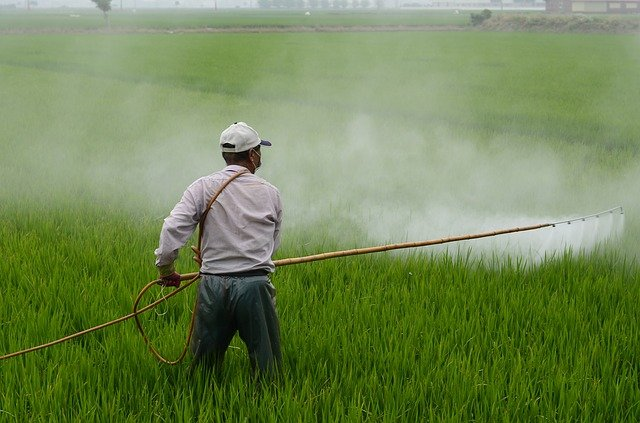 89 Prozent der Deutschen sind der Meinung, dass der Einsatz von in der EU verbotenen Pestiziden weltweit untersagt werden sollte. © wuzefe, pixabay.com