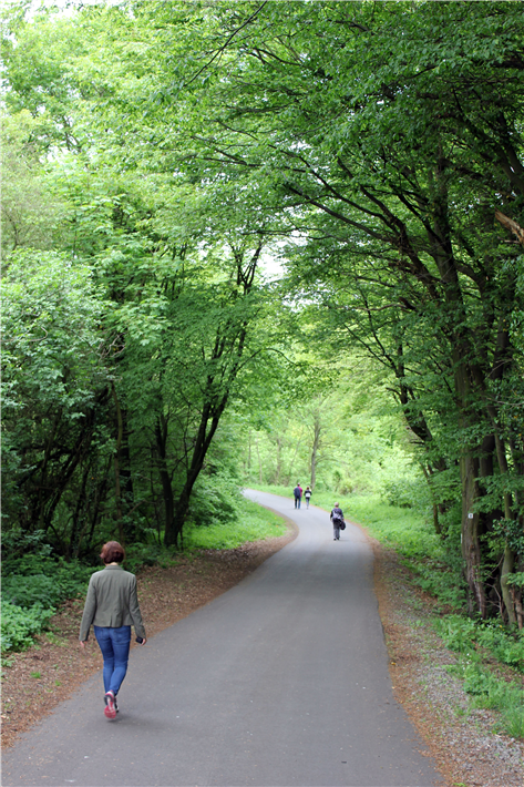 In Zeiten von Corona bietet der Wald Erholungsmöglichkeiten mit reichlich Abstand und frischer Luft. © KOLLAXO