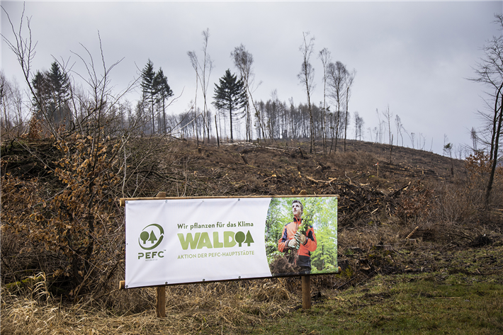 Projekt Wiederaufforstung in der amtierenden Waldhauptstadt Warstein (März 2020): Die Bevölkerung wird eingebunden und hilft tatkräftig mit. © PEFC Deutschland/sabrinity