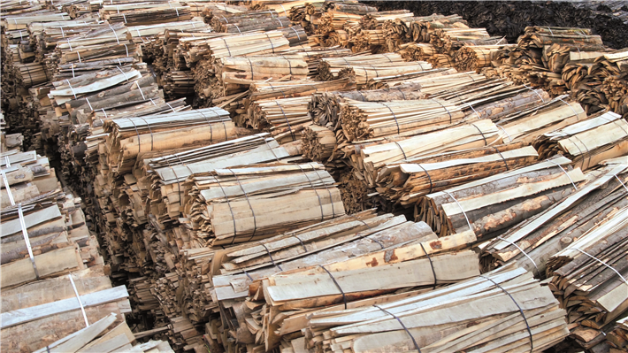 Für die Produktion heimischer Grill-Holzkohle werden naturbelassene Buchen-Resthölzer aus Sägewerken (links) und der Möbelindustrie (rechts) verwendet, die aus nachhaltig bewirtschafteten, heimischen Wäldern stammen. © proFagus