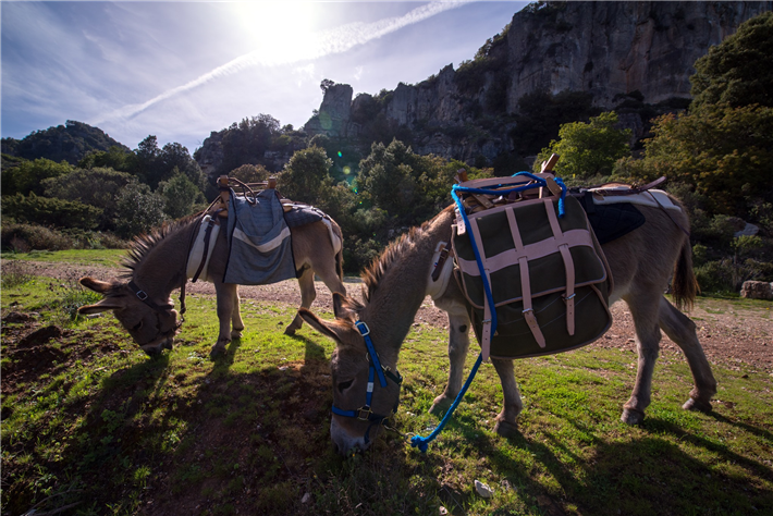 Eseltrecking in Sardinien: Ein gutes Beispiel für nachhaltigen Tourismus. © Sardaigne en liberté - Ökotourismus Sardinien 