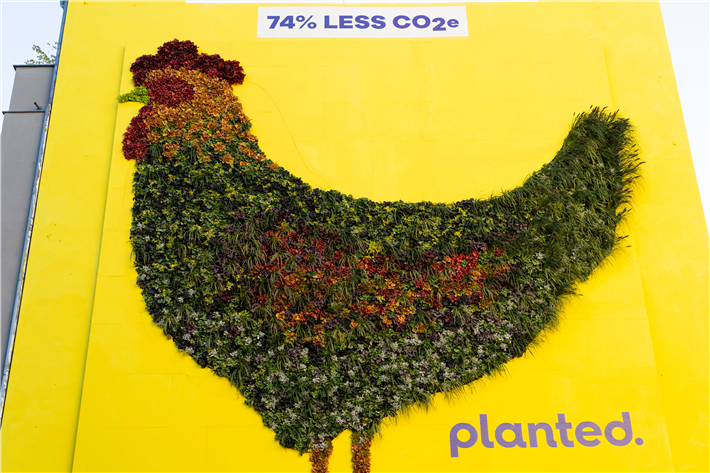 Das 100-Quadratmeter-Huhn besteht aus echten Pflanzen. © planted