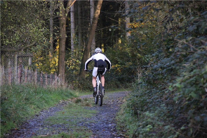 Auf gut befestigten Wegen hinterlassen Fahrräder keine tiefen Spuren im Waldboden. © Kollaxo