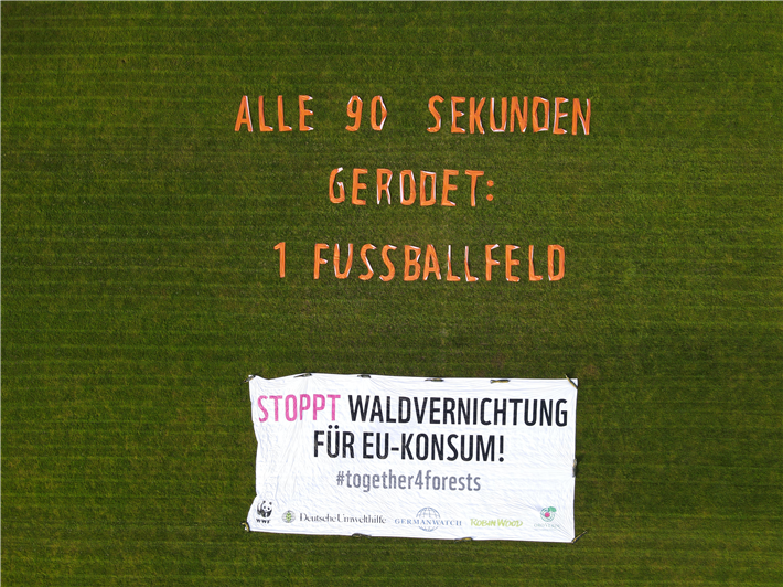 Fußballstadion in Berlin zeigt Dimension der Waldvernichtung © Together4Forests-Nina_Neuscheler