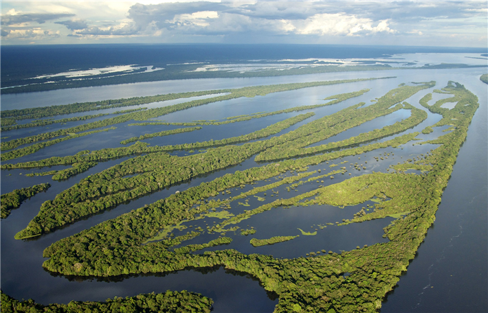 100 km stromaufwärts von Manaus fächert sich der Rio Negro aufgrund seiner bevorstehenden Mündung in den stark sedimentierenden Amazonas auf etwa 27 Kilometer Breite auf. Der Anavilhanas-Archipel ist gekennzeichnet durch ein einzigartiges Ökosystem mit großer Artenvielfalt. © sabino-jose, pixabay.com