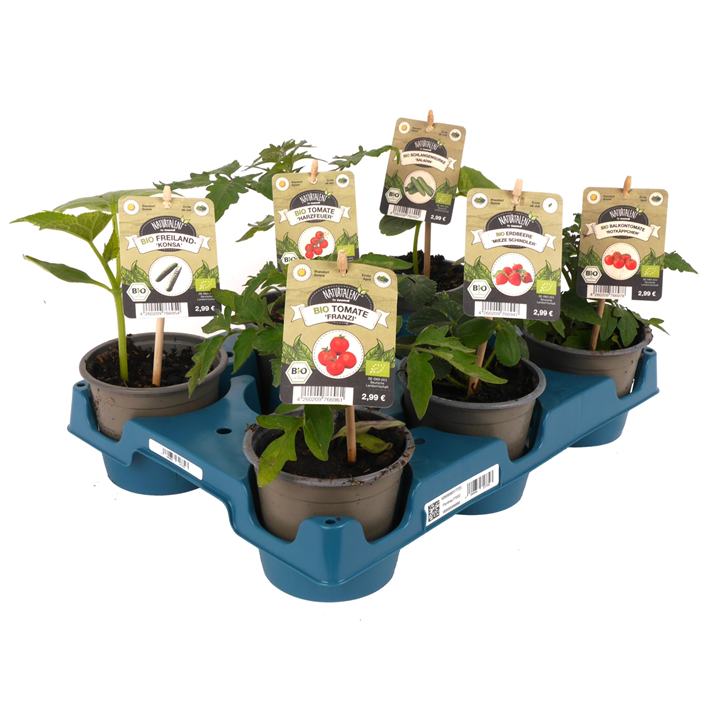 Als erster deutscher Baumarkt führte toom das umweltfreundlichere Floritray Mehrwegsystem ein. © toom