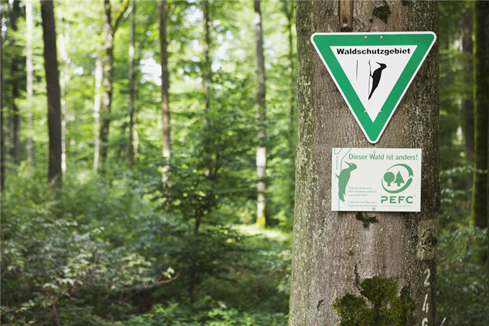 Als praxisnahes Regelwerk unterstützt der PEFC-Standard für nachhaltige Waldbewirtschaftung Forstbetriebe beim Umbau der Wälder in klimastabile Mischwälder. © PEFC