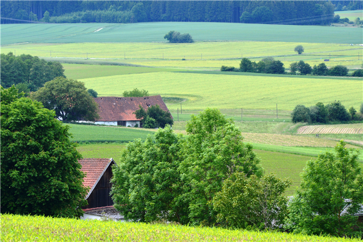 In Silicon Vilstal steht das Vilstal für ein ländliches Gebiet mit sanftem Hügelland rund um die Große Vils und die Kleine Vils im südlichen Landkreis Landshut. © Silicon Vilstal