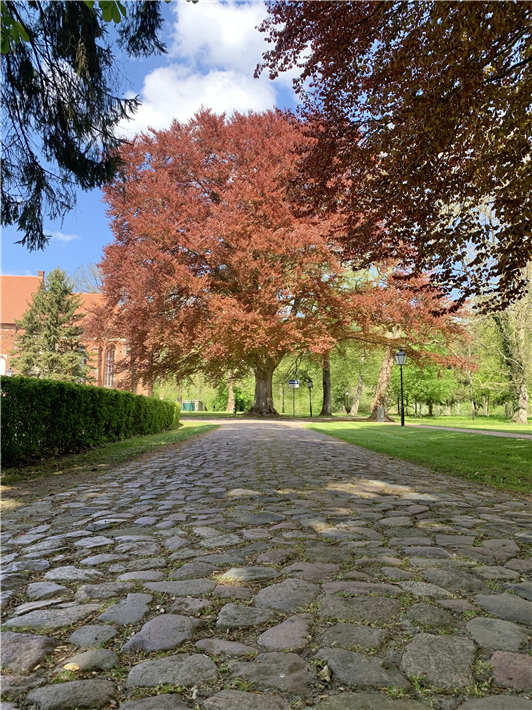 Klostergarten auf dem Campus Marienfließ © Campus Marienfließ