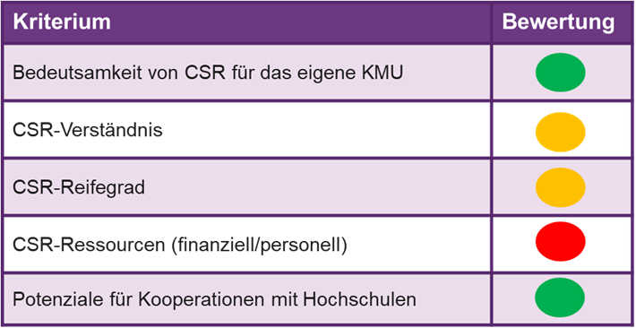 Abbildung 1: Bewertung CSR-Dimensionen aus KMU-Sicht