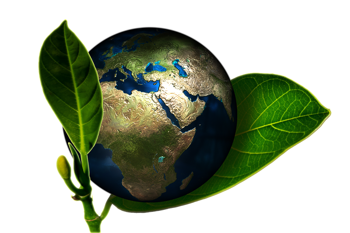 Verantwortung für die Erde und die Gesellschaft zu übernehmen, ist den Unternehmen zunehmend wichtig. © geralt, pixabay.com