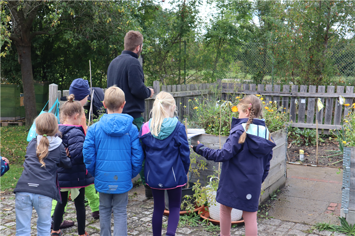 AckerCoach erntet mit den Schüler:innen auf dem SchulAcker. © Pukka