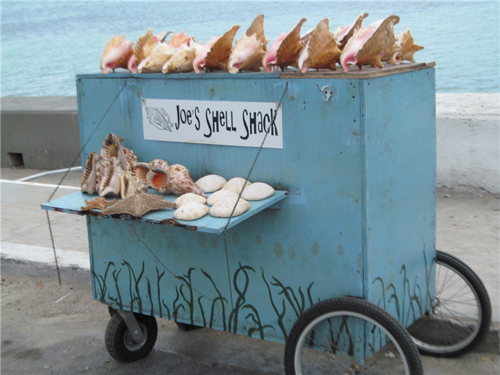 Muscheln und Schneckenhäuser werden als beliebte Souvenirs angeboten. Aber: Alle Riesenmuscheln sind geschützt. © pryceleon, pixabay.com