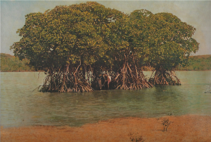 'Lagoon Cycle' – The First Lagoon: The Lagoon at Upouveli © Helen & Newton Harrison