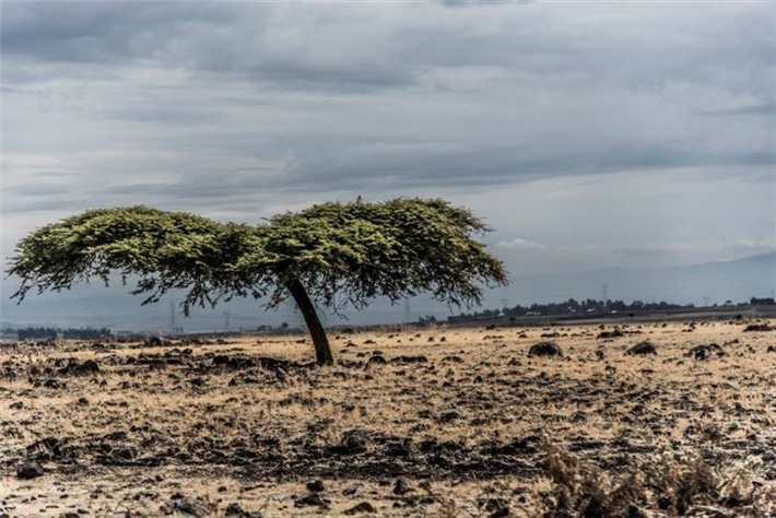 Ethiopien. © Silas Koch