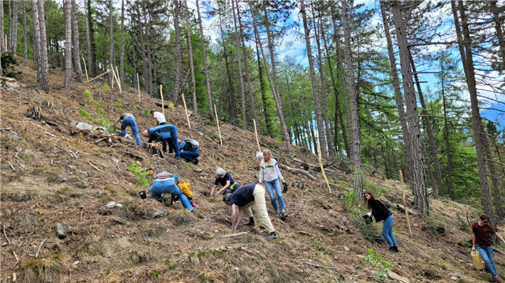 fleißige AnlegerInnen beim Baumpflanzen © @Ethical Banking 