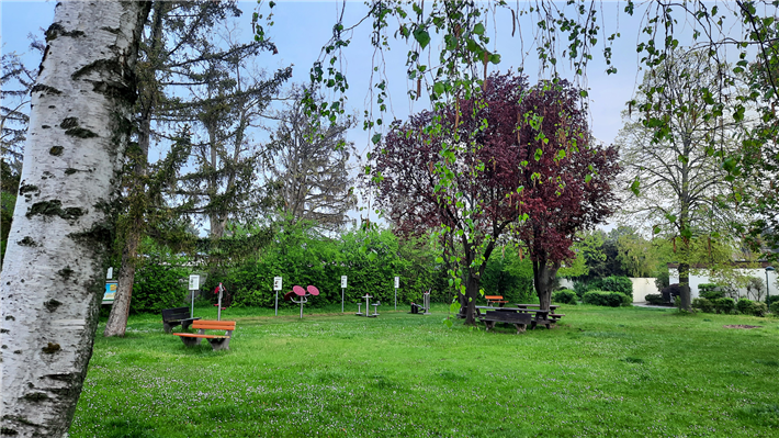 Bäume und Grünflächen tragen insgesamt zu einer gesünderen Umwelt bei und können die Luftverschmutzung, insbesondere in Städten, verringern. © IUFRO / Gerda Wolfrum