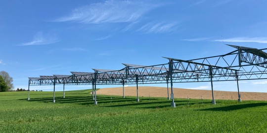 Bei Dürre sogar ertragssteigernd: Hoch aufgeständerte Agri-Photovoltaikanlagen schützen durch Beschattung. © Universität Hohenheim / Andreas Schweiger