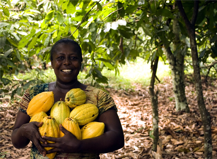 Schokoladenunternehmen müssen Kakaobäuerinnen und -bauern existenzsichernde Kakaopreis zahlen, damit diese auf die billige Arbeitskraft von Kindern verzichten und in nachhaltige Alternativen wie den ökologischen Kakaoanbau investieren können. © 5671698, pixabay.com