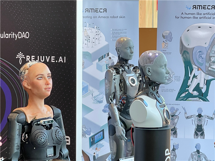 Nicht nur Roboter-Staubsauger und -Rasenmäher werden in Zukunft häufiger anzutreffen sein, sondern multifunktionale Humanoide Roboter, die verschiedenste Tätigkeiten ausführen können. © Christoph Santner