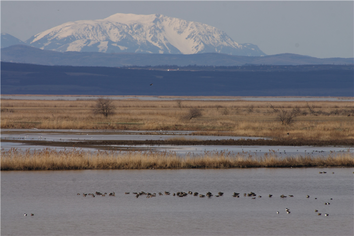 Vogelparadies UNESCO Welterbe Fertö Neusiedler See an den Ausläufern der Alpen © Ferto-táj Világörökség Magyar Tanácsa