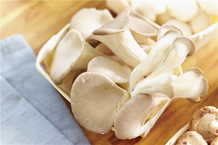 Austernpilze können gesunde Nahrung für arme Regionen der Welt liefern und obendrein fast unverdauliche Blätter und Stroh in energiereiches Viehfutter verwandeln. © GMH/BDC