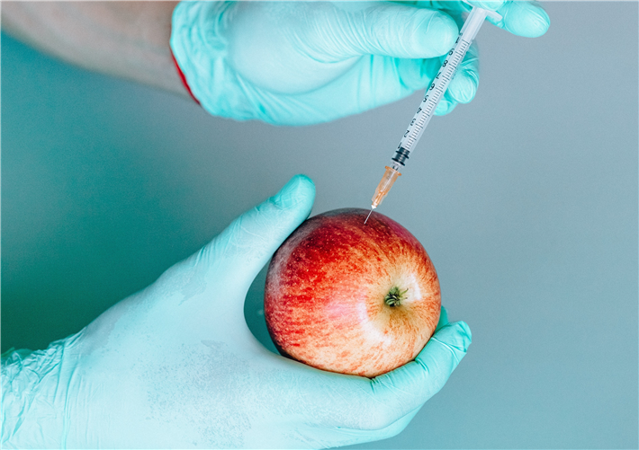Von manchen Obstbauern ersehnt: Die Einbringung von Rezistenz-Genen in Äpfel. © Natalya Vaitkevich, pexels.com