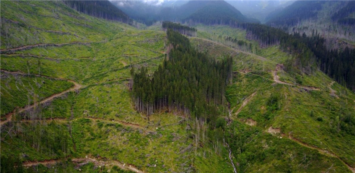 Fagaras-Gebirge Natura 2000-Gebiet: Drohnenaufnahme zahlreicher Kahlschläge und Forststraßen. © Agent Green