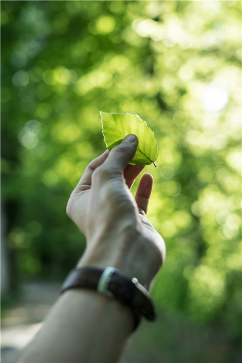 © Tobias Weinhold, unsplash.com