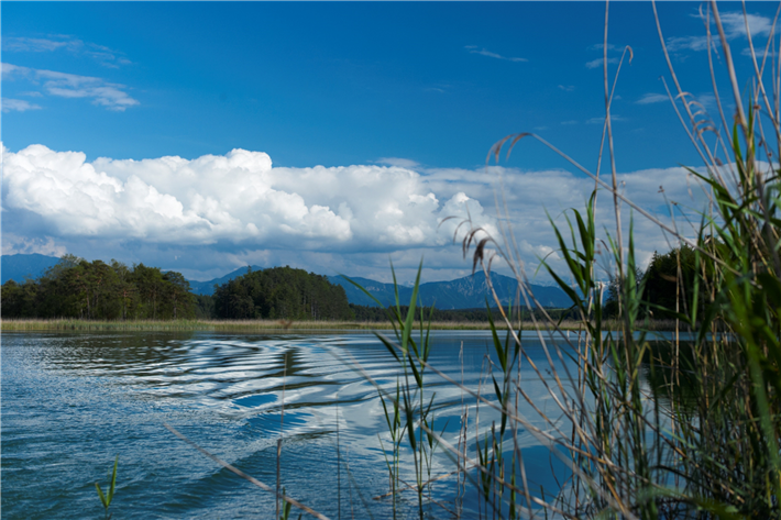 Ziel von ecoBay ist es, die Biodiversität und ökologische Gesundheit von Seen zu analysieren. &copy; TUM Limnologische Forschungsstation
