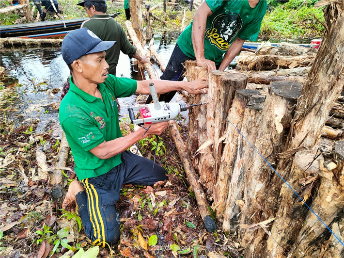 Staudammbau in Kalimantan © BOS