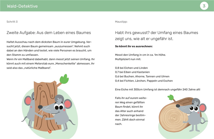 Die digitale Aktionskarte 'Wald-Detektive' © FEIN! Buero für Grafik und Reklame