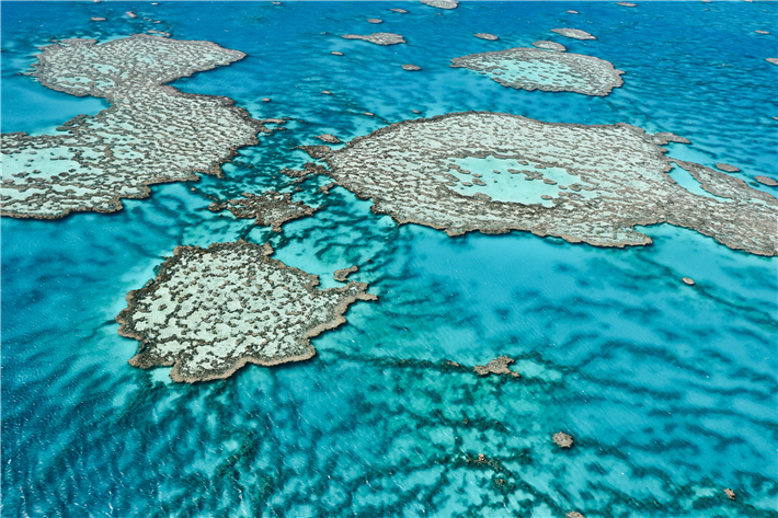 Great Barrier Reef in Queensland, Australia © tolly65, Adobe Stock