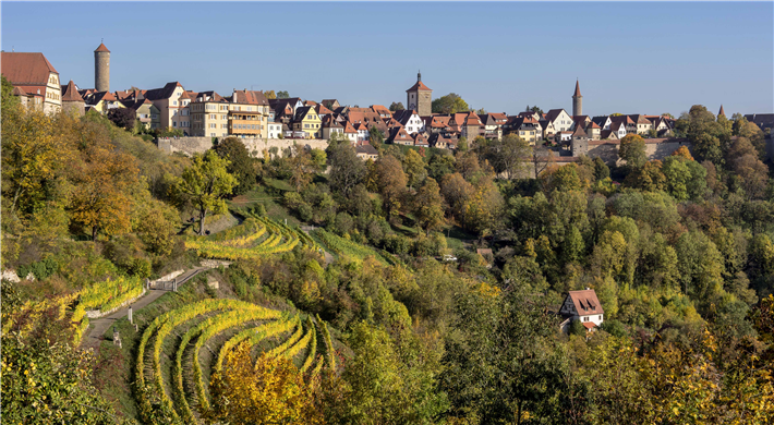 Weinberg, Altstadt Rothenburg © Rothenburg Tourismus Service