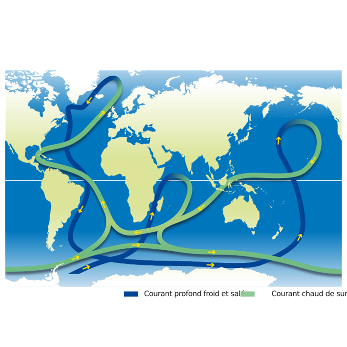 Meeresströmungen @ Graphithèque, adobe stock