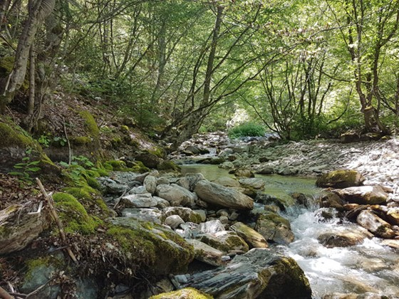 Einer der noch unberührten Flüsse im Mavrovo-Nationalpark: der Tresonecka-Fluss. © Front-21 42