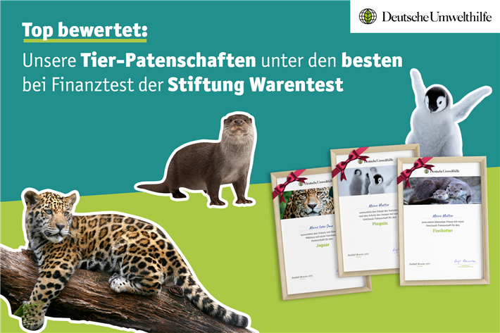 DUH Montage © Fotos: Ronnie Howard, aussieano