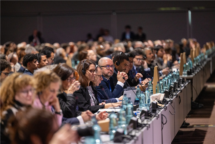 Der Blick ins Plenum, &copy; Roland Benedikter