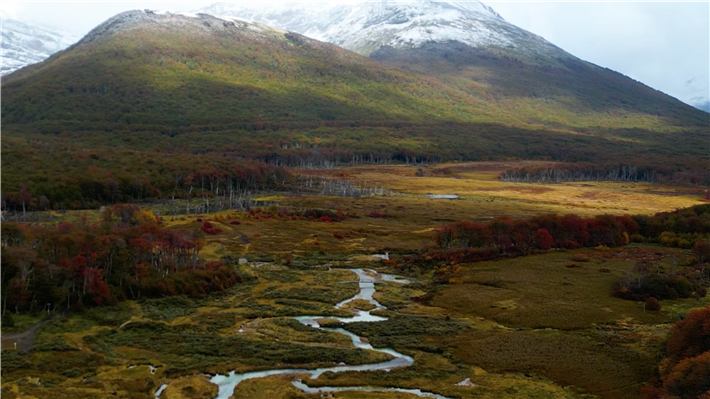 Moore sind ein gewaltiger Gamechanger in Sachen Klimaschutz. &copy; Mission to Marsh gGmbH