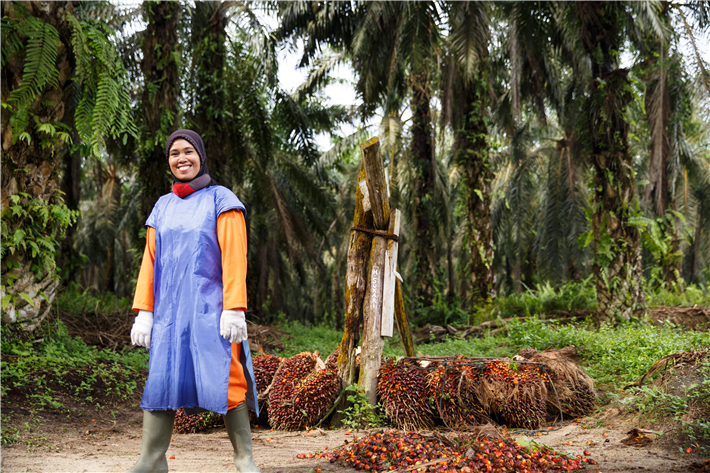 Ab Mai 2026 werden alle RSPO-zertifizierten Ölpalmenbauern verpflichtet sein, eine Human Rights Due Diligence durchzuführen, mit besonderem Fokus auf gefährdete Gruppen &copy; RSPO