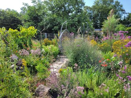 Impressionen von ehemaligen Teilnehmer*innen beim Deutschland summt!-Pflanzwettbewerb &copy; Hortus Multiplex, der vielfältige Garten 