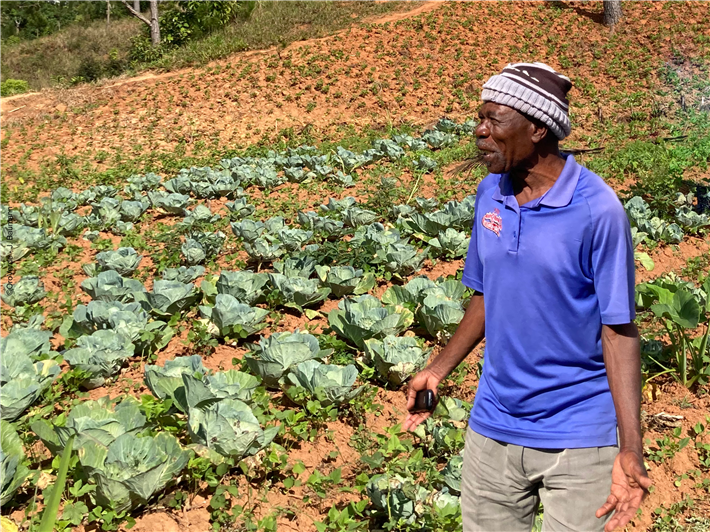 Kleinbauer Dieudonn&eacute; Silfrard steht vor seinem Kohlfeld. Der Kohl bringt seiner Familie auf dem lokalen Markt ein zusätzliches Einkommen. &copy; OroVerde