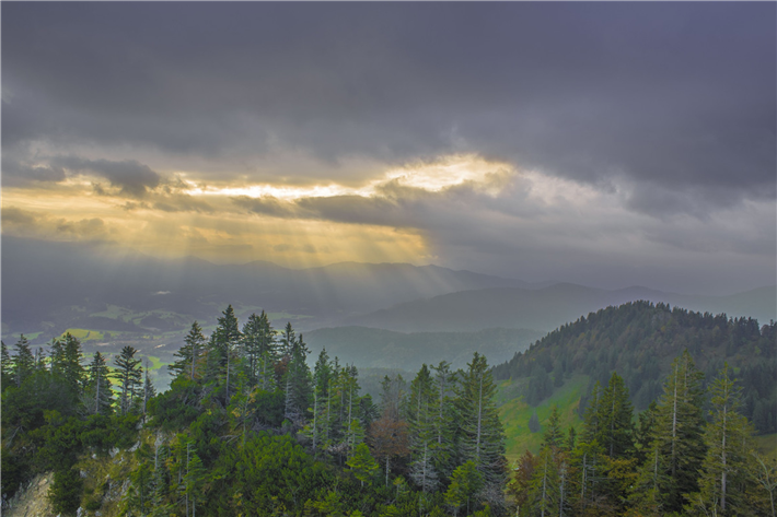 Natur und Klima schützen - Dafür ist ein ganzes Bündel an Maßnahmen nötig, zeigt eine neue Studie. &copy; LMU